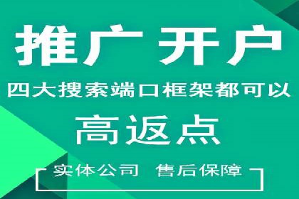 百度推广案例：关键词优化与品牌推广