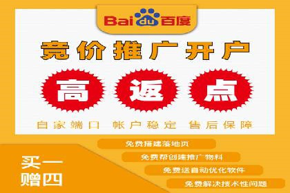 SEM广告投放的关键词选择案例研究